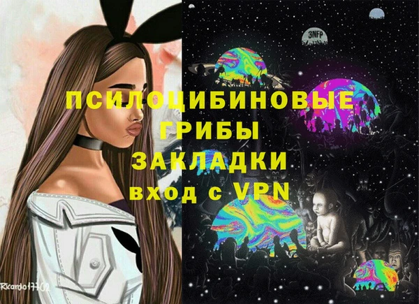 спиды Алексин
