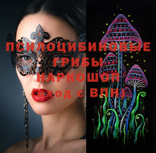 спиды Алексин