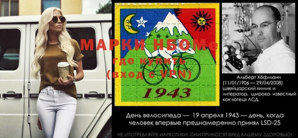 индика Елизово