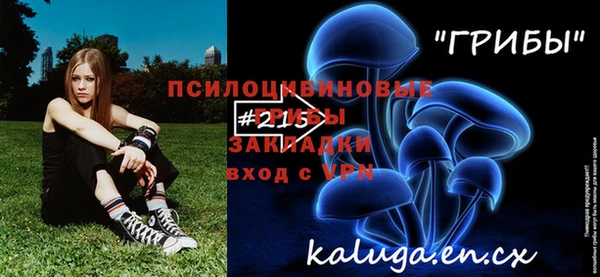 спиды Алексин